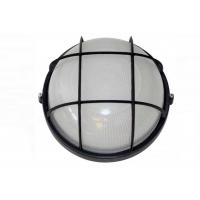 Фото светильника 0102 100W